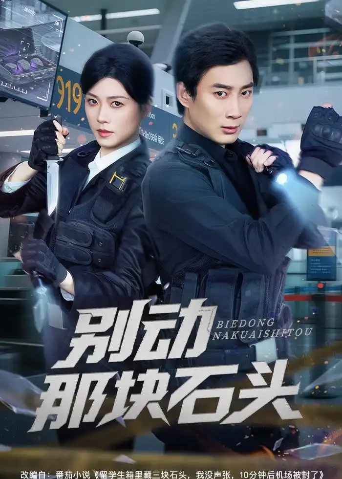 短剧《别动那块石头（58集）杨杰＆诸玲颖》海报