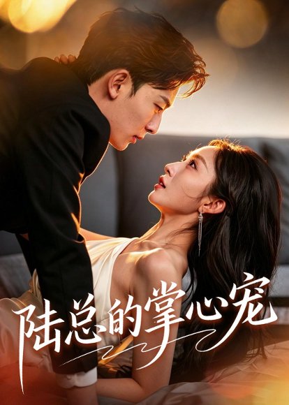 短剧《陆总的掌心宠(85集)宋佳音&朱永强》海报