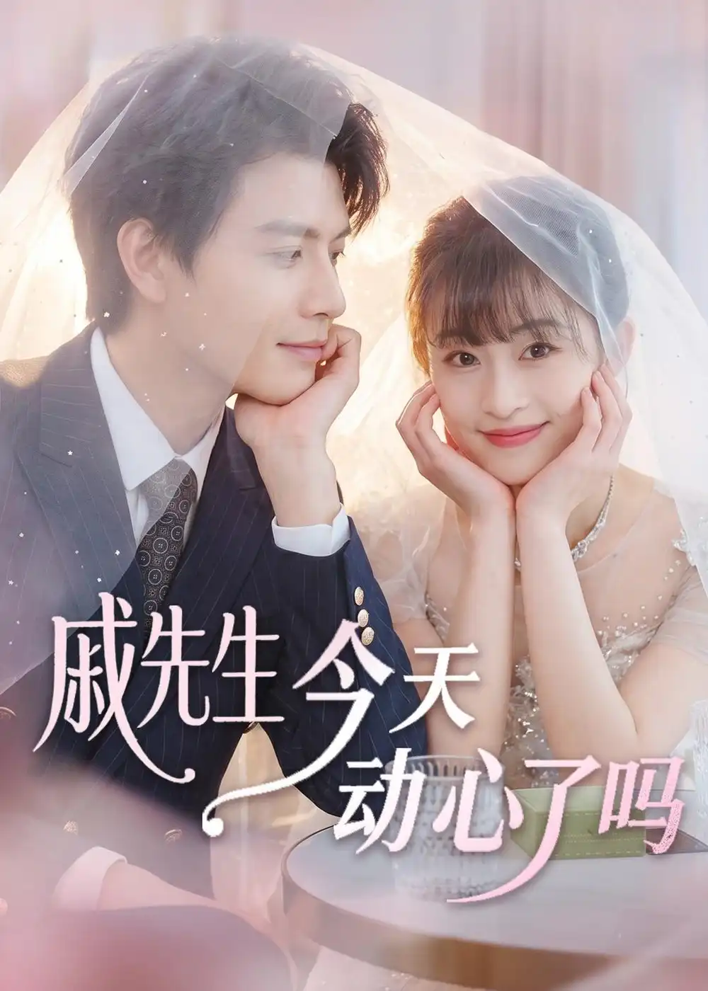 短剧《戚先生今天动心了吗(50集)胥惠棠&李彬航》海报