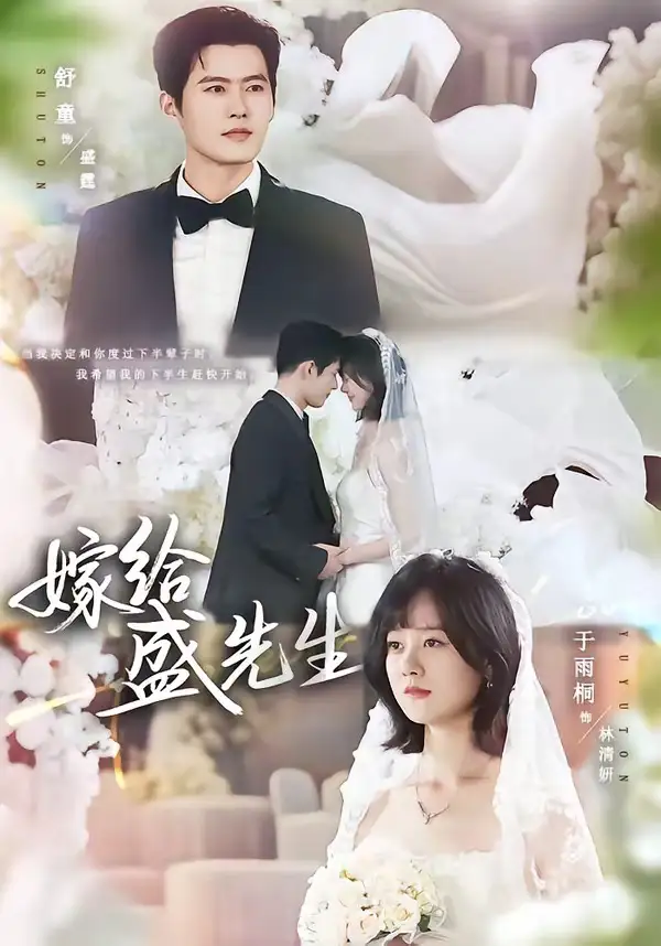 短剧《嫁给盛先生(82集)舒童&于雨桐》海报