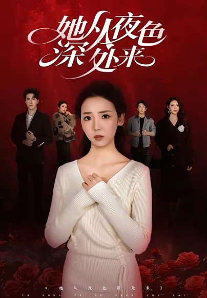 短剧《她从夜色深处来(62集)李海蒂&刘小龙》海报