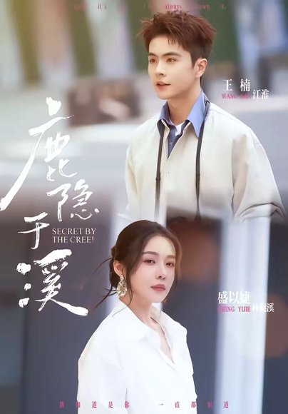 短剧《鹿隐于溪(63集)王楠&盛以婕》海报