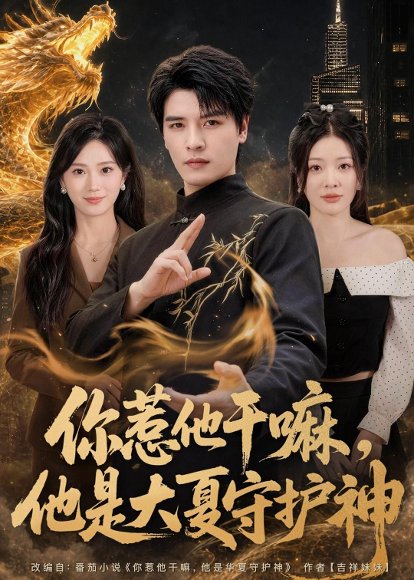短剧《你惹他干嘛,他是大夏守护神(78集)李彬航&林初》海报