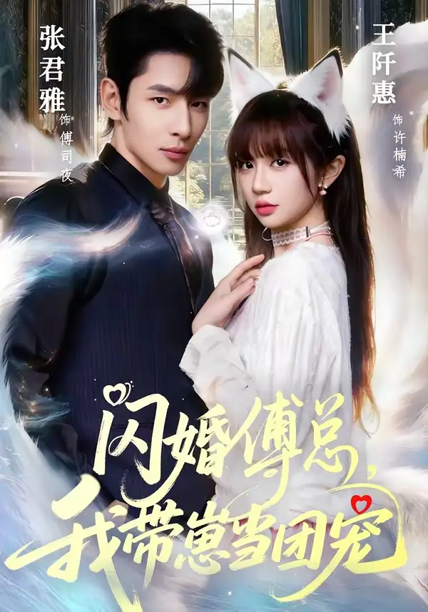 短剧《闪婚傅总,我带崽当团宠(85集)张君雅&王阡惠》海报