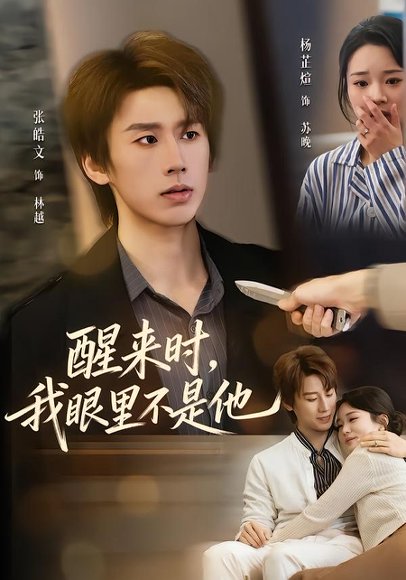 短剧《醒来时,我眼里不是他(36集)杨芷煊&张皓文》海报