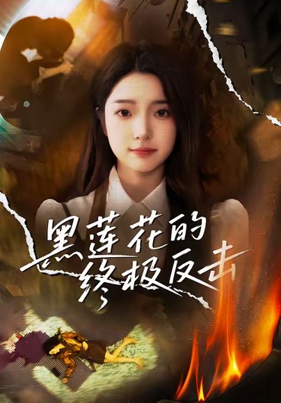 短剧《黑莲花的终极反击(60集)鲁倩倩》海报