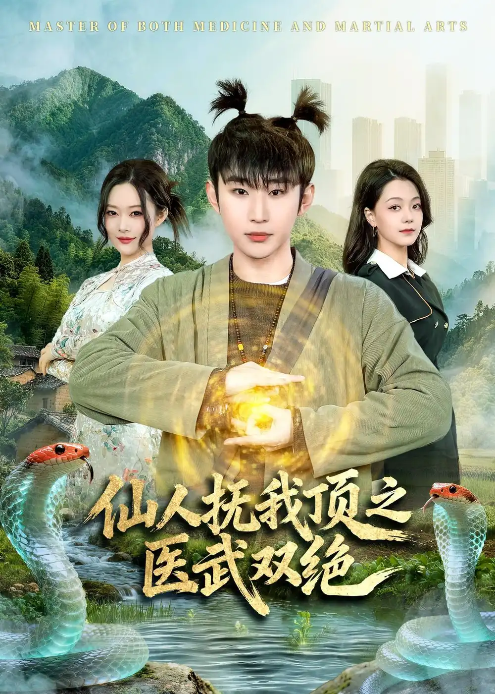 短剧《仙人抚我顶之医武双绝(66集)范经明&李佑金》海报