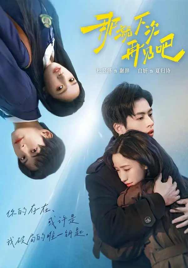 短剧《那就下次再见吧（58集）白妍＆杜昱泽》海报