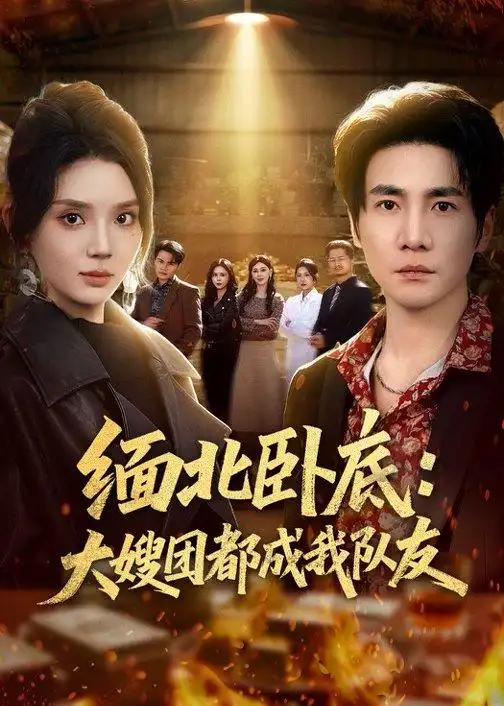 短剧《缅北卧底:大嫂团都成我队友(71集)李想&文静》海报