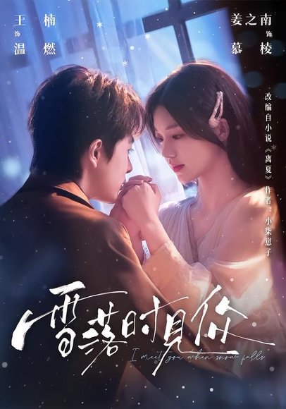 短剧《雪落时见你(93集)王楠&姜之南》海报