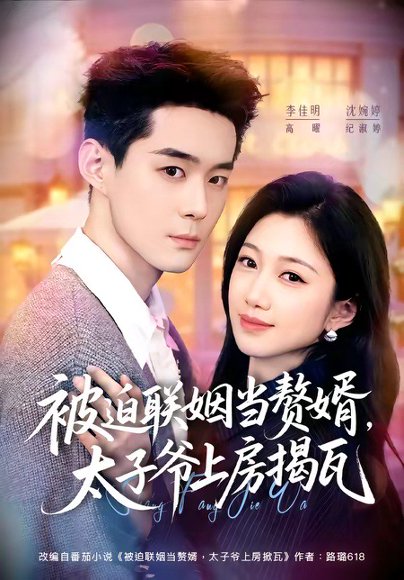 短剧《被迫联姻当赘婿，太子爷上房揭瓦（80集）沈婉婷＆李佳明》海报
