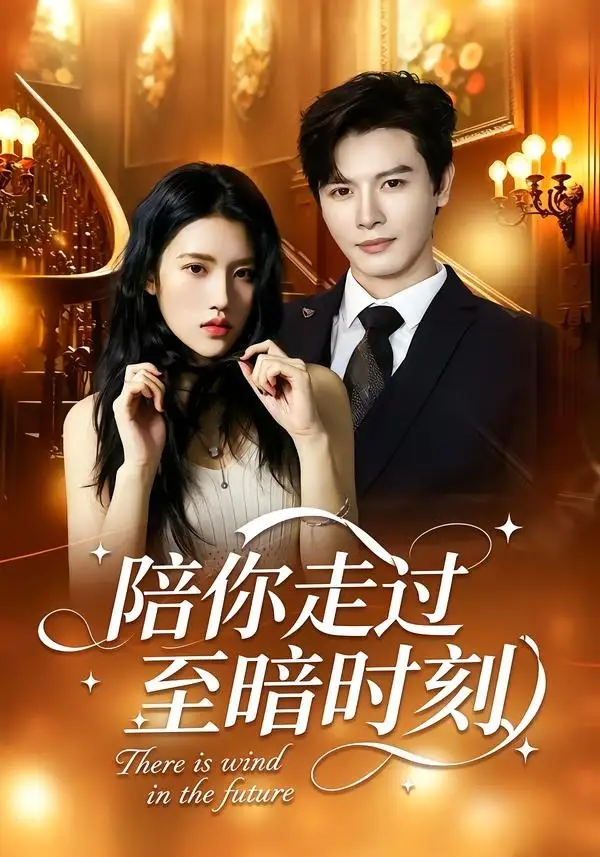 短剧《陪你走过至暗时刻(80集)李彬航&张沐桐》海报