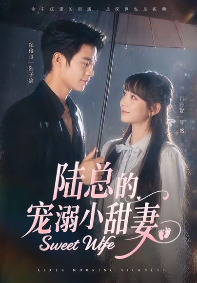 短剧《陆总的宠溺小甜妻(61集)纪俊良&吕丹妮》海报