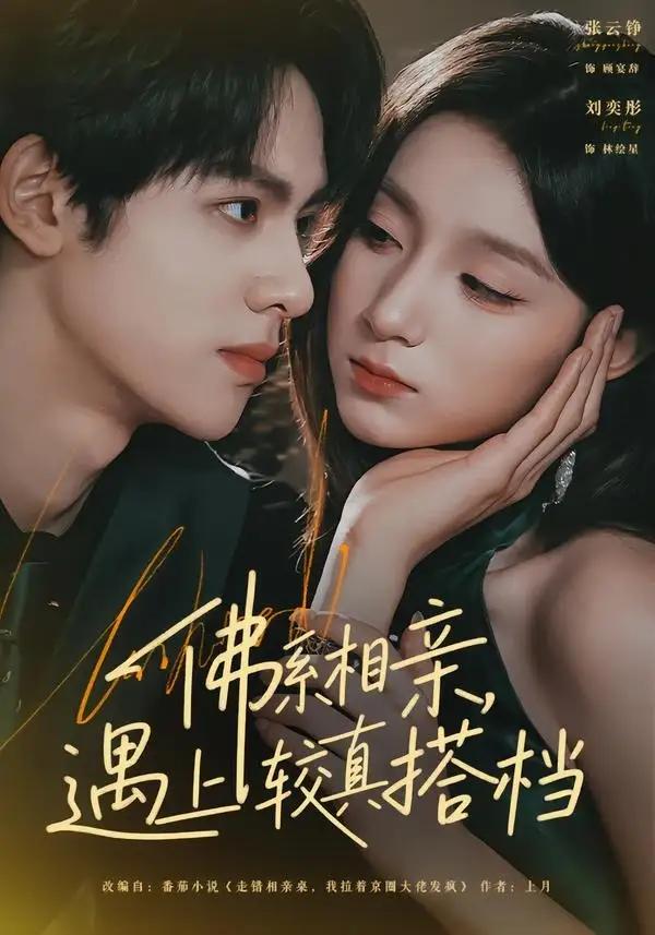 短剧《佛系相亲，遇上较真搭档（91集）张云铮＆刘奕彤》海报