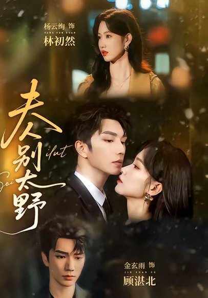 短剧《夫人别太野(70集)金玄雨&杨云绚》海报