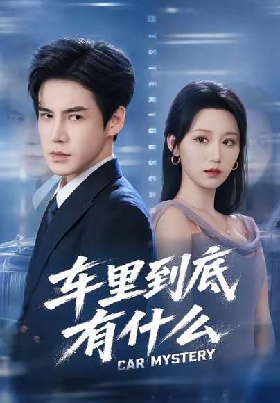 短剧《车里到底有什么(51集)李子锋&林千仟》海报