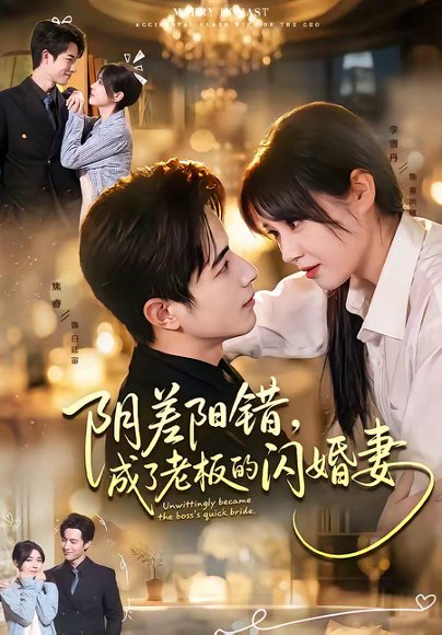 短剧《阴差阳错，成了老板的闪婚妻（70集）焦睿＆李雪丹》海报