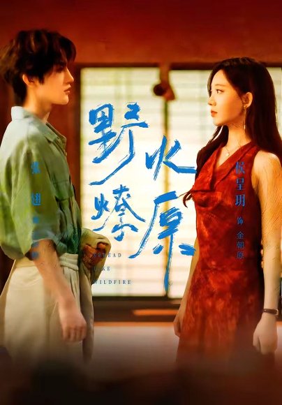 短剧《野火燎原(72集)张翅&侯呈玥》海报