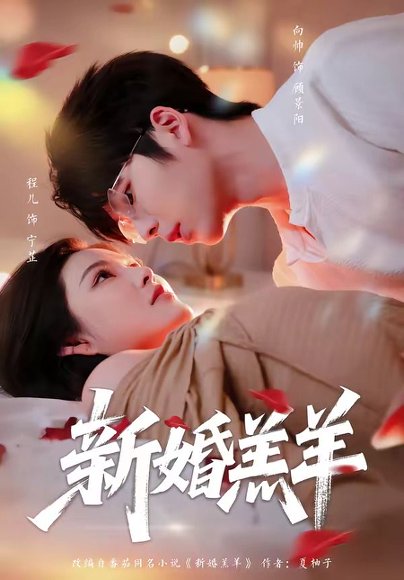短剧《新婚羔羊（89集）向帅＆程儿》海报