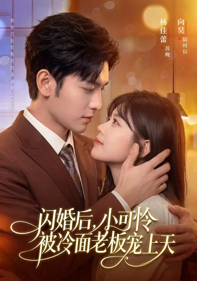 短剧《闪婚后小可怜被冷面老板宠上天 (87集) 杨佳蕾&向昊》海报