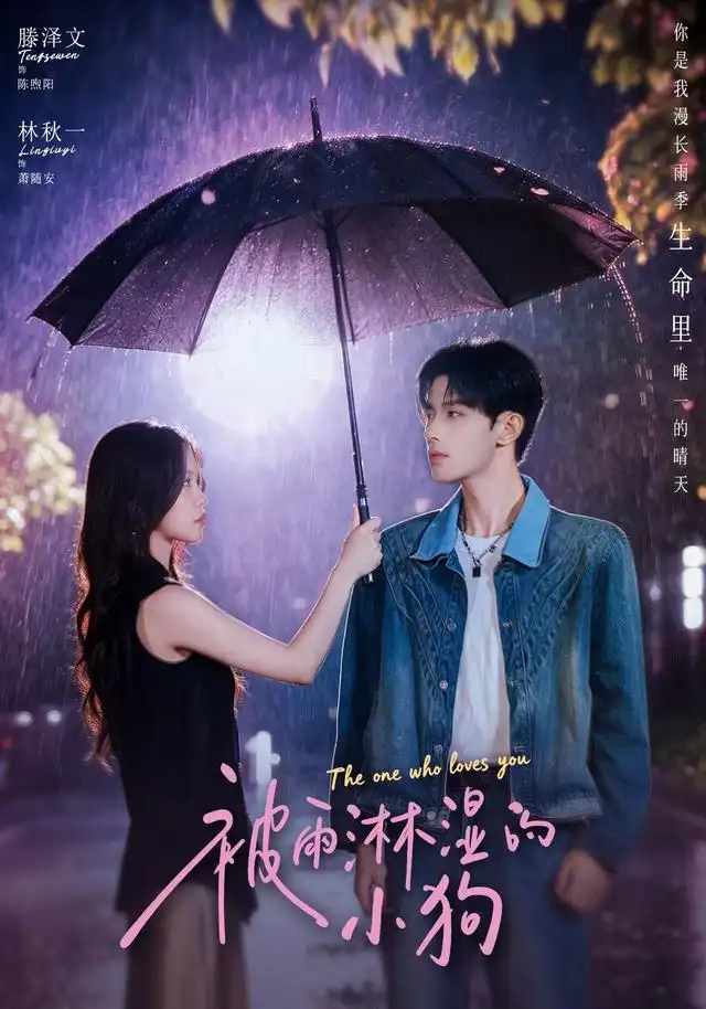 短剧《被雨淋湿的小狗 (80集) 林秋一&滕泽文》海报
