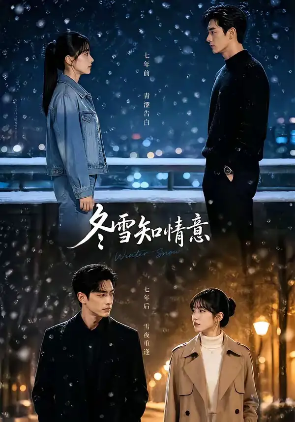短剧《冬雪知情意 (15集)》海报