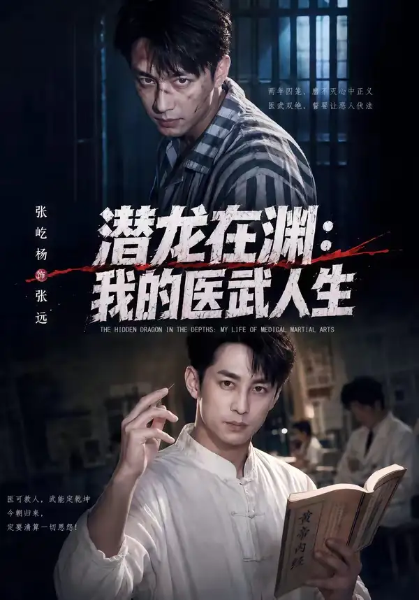 短剧《潜龙在渊我的医武人生 (82集) 张屹杨&朱碧漪》海报