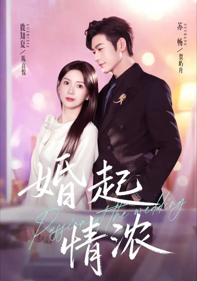 短剧《婚起情浓 (99集) 苏畅&鹿知夏》海报