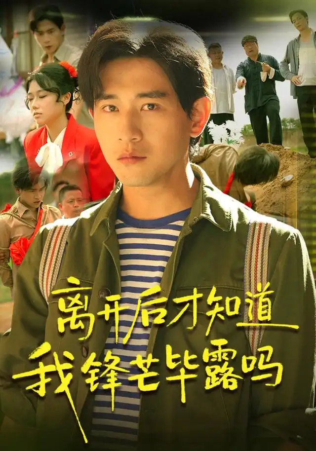 短剧《离开后才知道我锋芒毕露吗 (87集) 张恩浩&曹莞桐&韦坚&张沐晗》海报