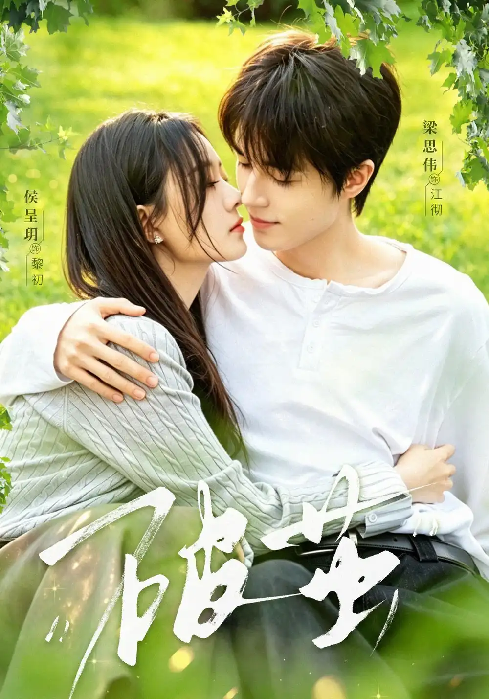 短剧《破茧 (76集) 梁思伟&侯呈玥》海报