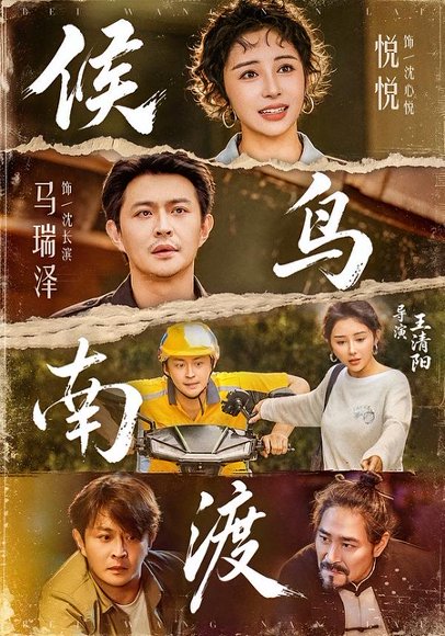 短剧《候鸟南渡(75集)悦悦&马瑞泽 (2026)》海报