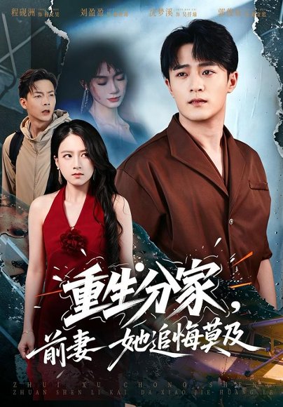 短剧《重生分家,前妻她追悔莫及(74集)杨文昊&盛佳琦 (2026)》海报