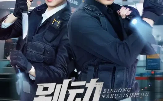 短剧《别动那块石头(58集)杨杰&诸玲颖》免费观看全集