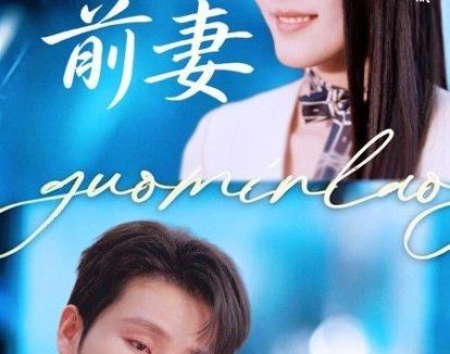 短剧《再追前妻(49集)徐嘉良&李京祈》免费观看全集
