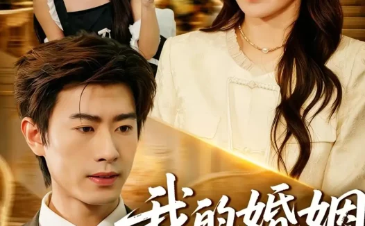 短剧《我的婚姻不将就(30集)王铉博&张睿航》免费观看全集