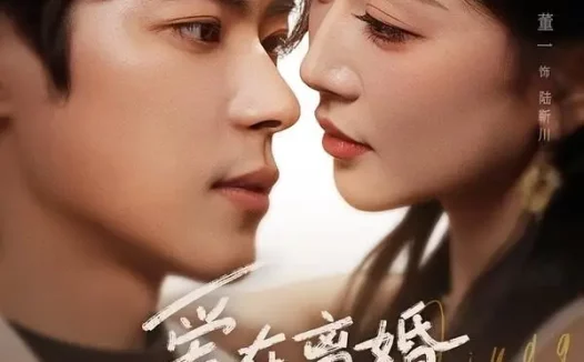 短剧《爱在离婚冷静期(73集)董一&姚宇晨》免费观看全集