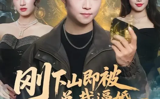 短剧《刚下山即被总裁逼婚,我反手横扫都市(70集)王晨辉&李雪曼》免费观看全集