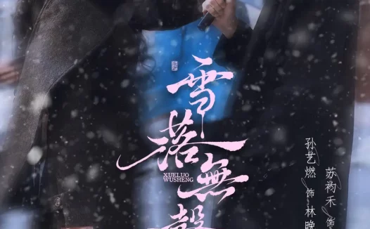 短剧《雪落无声(20集)苏袀禾$孙艺燃》免费观看全集