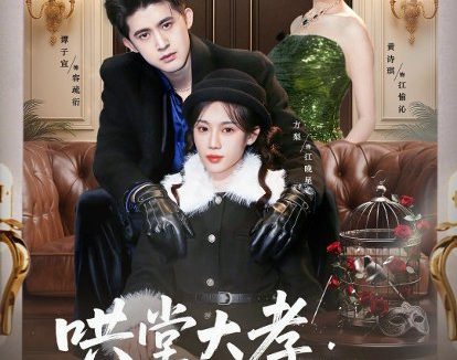 短剧《哄堂大孝:姑奶奶又美又飒(60集)方梨&谭子宣&史小强》免费观看全集