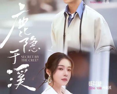 短剧《鹿隐于溪(63集)王楠&盛以婕》免费观看全集