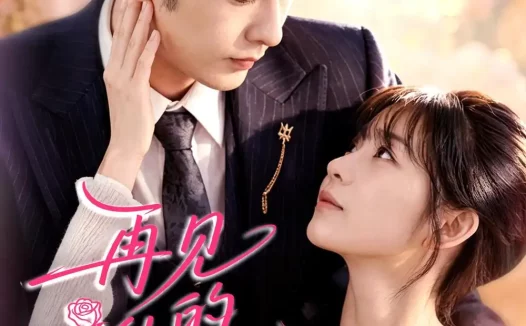 短剧《再见他的小玫瑰(98集)向昊&杨佳蕾》免费观看全集