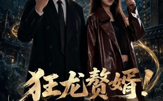短剧《狂龙赘婿!揽冷妻夜巡(80集)晁轩&杨晰茹》免费观看全集