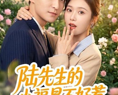 短剧《陆先生的小福星不好惹(56集)肖涵&何为》免费观看全集
