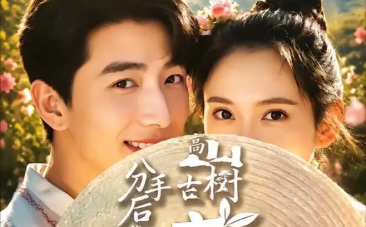 短剧《分手后我成了香竹林高山古树茶王（60集）刘昱晗＆马瑜遥》免费观看全集