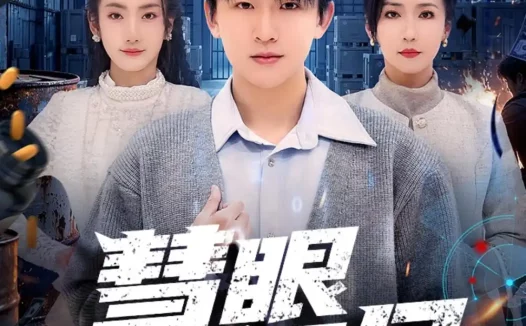 短剧《慧眼识局（72集）阿木＆洪婷婷》免费观看全集