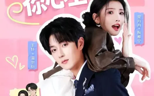 短剧《哎呀!撞到你心上(67集)王轩&常丹丹》免费观看全集