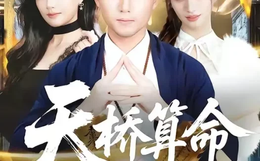 短剧《天桥算命女总裁跪求我出山(81集)赵志盟&张颖洁》免费观看全集