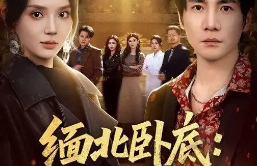 短剧《缅北卧底：大嫂团都成我队友（71集）李想＆文静》免费观看全集