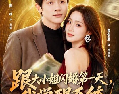 短剧《跟大小姐闪婚第一天,我觉醒系统(81集)陈一林&姜恺琳》免费观看全集