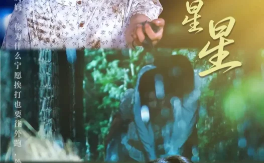 短剧《一念一星星(76集)李家园子&李红雨》免费观看全集